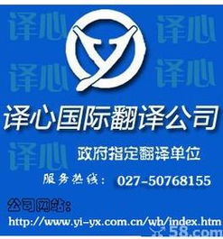 專業(yè)助力，溝通世界 武漢產(chǎn)品說明書與宣傳冊的精準翻譯與設(shè)計服務(wù)